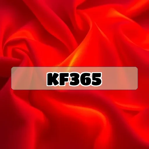 kf365 Arcade